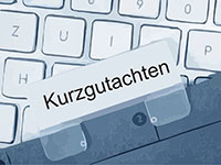 Kurzgutachten